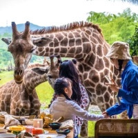 最后2晚：少见7字出头的价格，清明不加价/暑假可用！一堆玩乐！湖州长颈鹿庄园酒店 林景双床房 2晚连住+含2大1小早餐+乐园门票+剧场+汤泉等