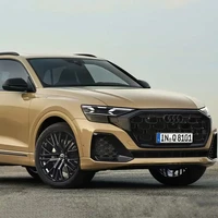 Audi 奥迪 Q8 24款 55 TFSI quattro 尊享动感型