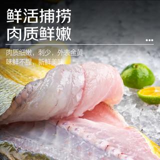 鲜京采冰鲜黄鱼500g*2条(净重1kg) 宁德大黄鱼  生鲜鱼类 地标源头直发