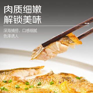 鲜京采冰鲜黄鱼500g*2条(净重1kg) 宁德大黄鱼  生鲜鱼类 地标源头直发