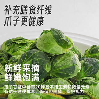 璞印冻干孢子甘蓝55g狗狗蔬菜冻干混合宠物狗零食补充维生素