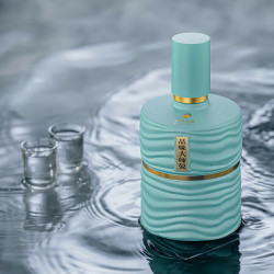 舍得 酒品味大师晏浓香型白酒52度500ml*2瓶双支节日送礼宴请婚宴