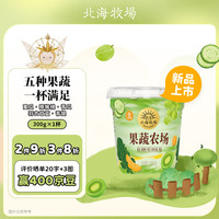 北海牧场果蔬农场 蜜瓜猕猴桃青瓜羽衣甘蓝青提5种果蔬 300g*1杯低温酸奶