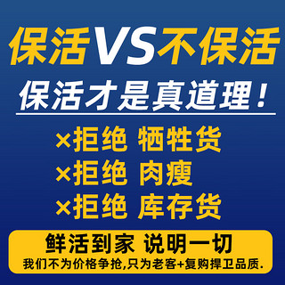 首鲜道【活蟹 包活 次日达】俄罗斯鲜活帝王蟹礼盒活蟹大螃蟹海鲜 6.6-7.0斤【包活】