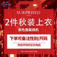 马克华菲男童女童春秋款福袋秋装上衣2件装2024中大童长袖不接受 男童 110