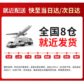  Bcity/比西特 一对多无线讲解 无线讲解器套装