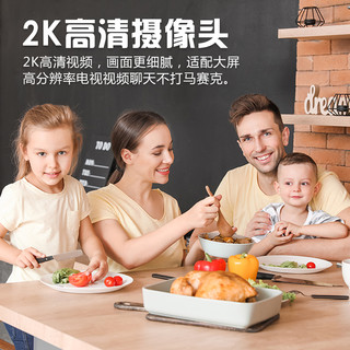  VIZOLINK 2k高清像素 电视摄像头