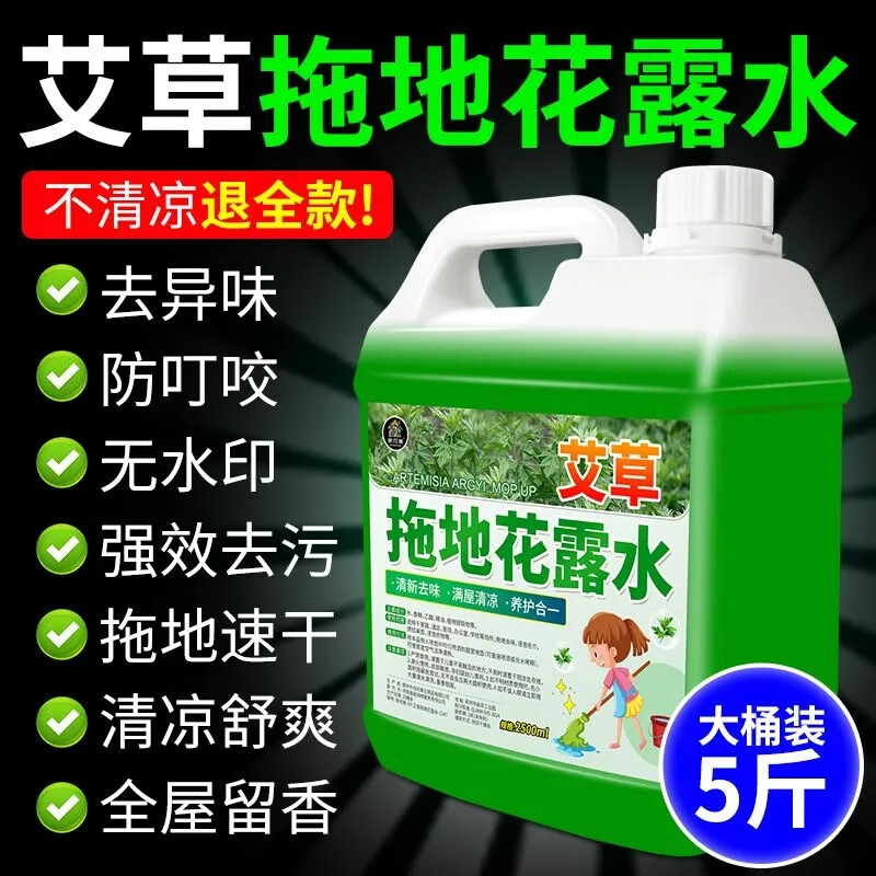 家可美（jiakemei）拖地花露水瓷砖木地板清洁剂强力去污除水渍速干留香防叮咬拖地液 2500g 1瓶 艾草拖地花露水