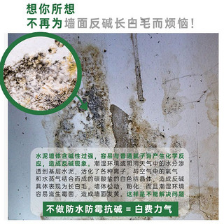 星火防水补墙膏家用墙面修补膏白色腻子膏白墙防潮翻新免漆涂料