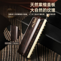 feifan 飞繁 半音阶口琴 12孔C调E48