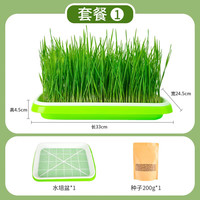 宠乐侠兔子草新鲜麦草种子小麦荷兰猪草龙猫豚鼠牧草种子兔粮提摩西草 套餐1：水培盆+种子*1 无规格