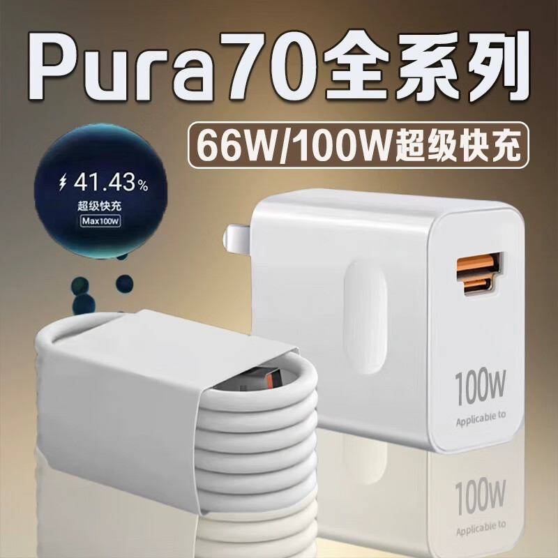  碧侠 极速快充 充电器头  双Type-C口 单头 100W