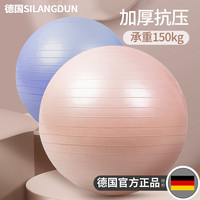 德国SIALNGDUN瑜伽球加厚防爆球婴儿成人儿童感统球触觉球大号平衡球 瑜伽器材 梦幻粉【加厚防爆】+3件套 75cm(适用身高165-175cm)
