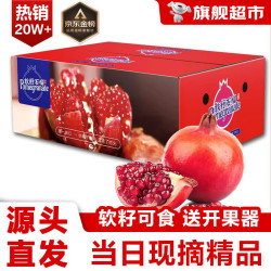 愉果 会理突尼斯软籽石榴水果 新鲜水果礼盒 5斤高性价比净重4.5斤 单果5-6两