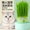 Huan Chong 欢宠网 猫草种子猫薄荷猫零食，猫草罐