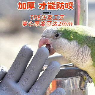 共度（Gong Du）儿童园艺手套防刺宠物防咬手套仓鼠赶海家务种花防护劳动防护手套 儿童防护手套一副-Q猫款