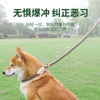 派乐特 P链狗绳宠物狗狗牵引绳中大型犬16mm防爆冲遛链子项圈1.8米