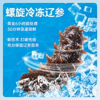 大连海参独立包装非即食海参礼盒特价海参鲜活单个非干货辽刺参