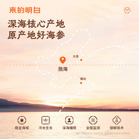 明威即食海参500g辽刺参深海底播海参礼盒装单只袋子装