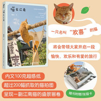 喵在江南(智元微库)