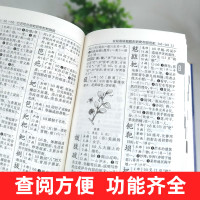 新字典第2版人民教育出版社新华字典初中小工具书教材课本辅导小汉字知识讲解新词新语第二版 人教版