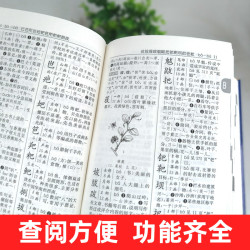 新字典第2版人民教育出版社新华字典初中小工具书教材课本辅导小汉字知识讲解新词新语第二版 人教版