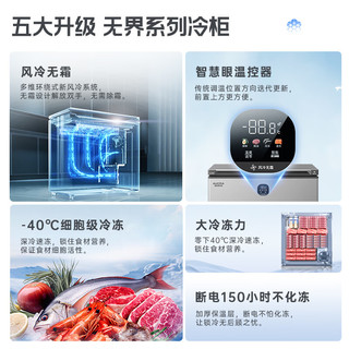 澳柯玛（AUCMA）120升风冷无霜冰柜家用商用单温冷藏柜冷冻柜母乳小冰柜冰箱 天际线系列 BC/BD-120WSD