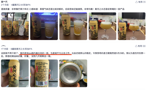 或不凡 黄河之水 浑浊双倍IPA 精酿啤酒 500ml*2罐