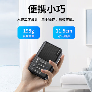 纽曼 N120 蓝牙插卡收音机 深空灰