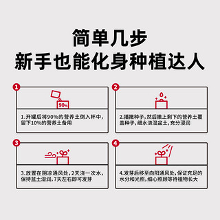 璞印 肯德基联名款 狗狗种植罐盲盒