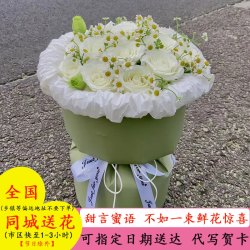 京东鲜花花景澜母亲节鲜花同城配送玫瑰花束生日鲜花速递当日达生日