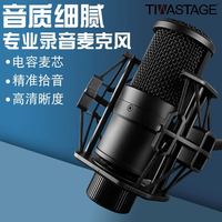 TIWASTAGE 帝华 电容麦克风M260