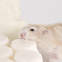 布卡星仓鼠羊奶布丁15颗小苍鼠零食用品补钙果冻怀孕期金丝熊点心