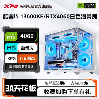 百亿补贴：ADATA 威刚 酷睿i5 13600KF/RTX4060电竞游戏组装电脑全新海景房diy台式主机