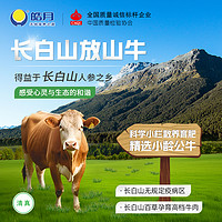 HAO YUE 皓月 4斤牛腩牛肉1kg*2袋炖煮红烧食材原切肋条生鲜食材