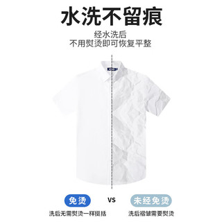 Navigare意大利小帆船短袖白衬衫男全棉免烫衬衣1323542111 漂白