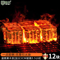 格术烧烤碳 烧烤炭 速燃碳 无烟果木炭烧烤炉烧烤木炭 12块大号速燃炭 2秒速燃炭-方形烧烤碳12块