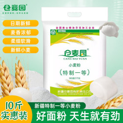 CANG MAI YUAN 仓麦园 新疆面粉 天山北麓绿色食品 小麦粉5kg 烘焙 通用面粉 特一粉*1袋
