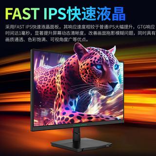 TITAN ARMY 泰坦军团 P2410R 23.8英寸 IPS G-sync FreeSync 显示器（2560×1440、180Hz、125％sRGB、HDR10）