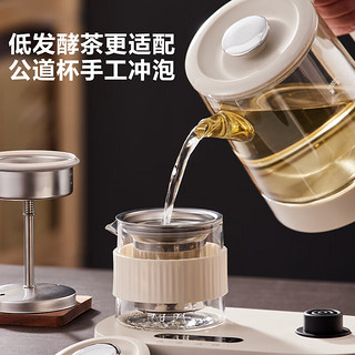 苏泊尔（SUPOR）煮茶器养生壶煮茶壶电水壶热水壶烧水壶电热水壶玻璃花茶壶带滤网SW-10C15