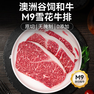 盐滩寻羊记澳洲和牛M9雪花牛排5-6片谷饲450天原切无拼接烧烤1KG装 源头直发