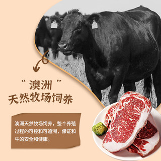 盐滩寻羊记澳洲和牛M9雪花牛排5-6片谷饲450天原切无拼接烧烤1KG装 源头直发