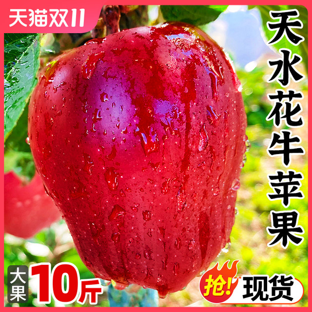 甘福园 甘肃天水花牛苹果10斤新鲜水果整箱当季红蛇3粉面丑当季平果