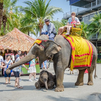 比直订便宜1000+！往返含税还不加价！广州直飞泰国曼谷自由行5天往返机票（含7公斤随身行李+赠10公斤托运）