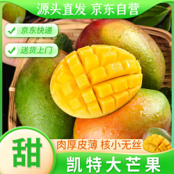 京觅 四川攀枝花凯特芒果4.5-5斤装单果300g+甜芒果水果源头直发