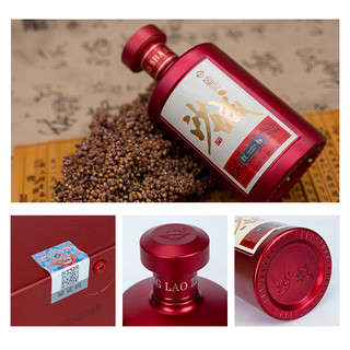  Desert Castle/沙城 纯粮食酒 浓香型白酒  包装 460ml 38度