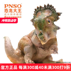 PNSO 幼年中国角龙阿齐恐龙大王成长陪伴模型27