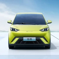 BYD 比亚迪 海鸥 25款 305km 自由版