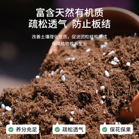 营养土养花通用型家用种菜种花多肉植物有机泥炭土种植花土壤