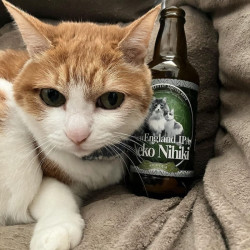 ISE KADOYA BEER 京石屋伊势角屋麦酒 喵两只 浑浊型双倍IPA 330mL*24瓶 原包整箱 （24年4月25日产）